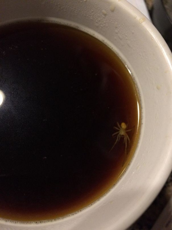 Not Cool, Monday. Not Cool At All