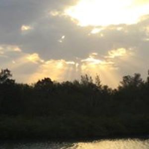 doreen_saintonge avatar