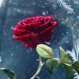 katrianaimnotgoingtosaymylastnametoanybody avatar