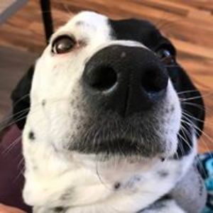 iamemilysmommy avatar