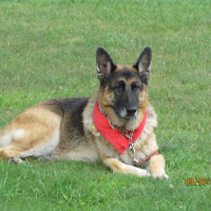 richardbrown_2 avatar