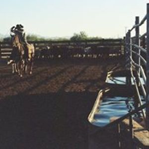 theflyingmaninitiative avatar