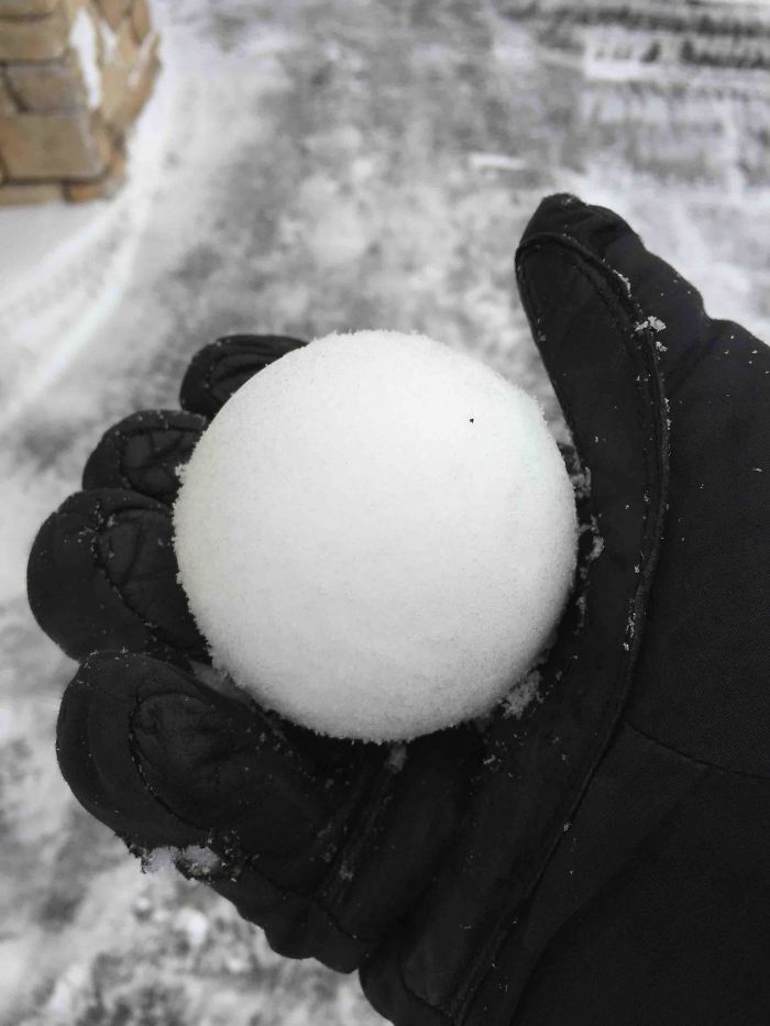 This Snowball