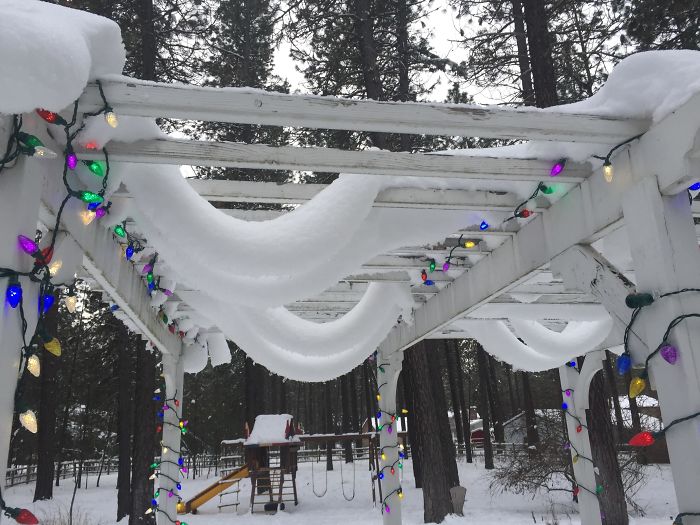 Snow Hanging From Our Pergola
