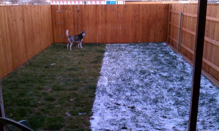 Only Half Of My Backyard Got Snow
