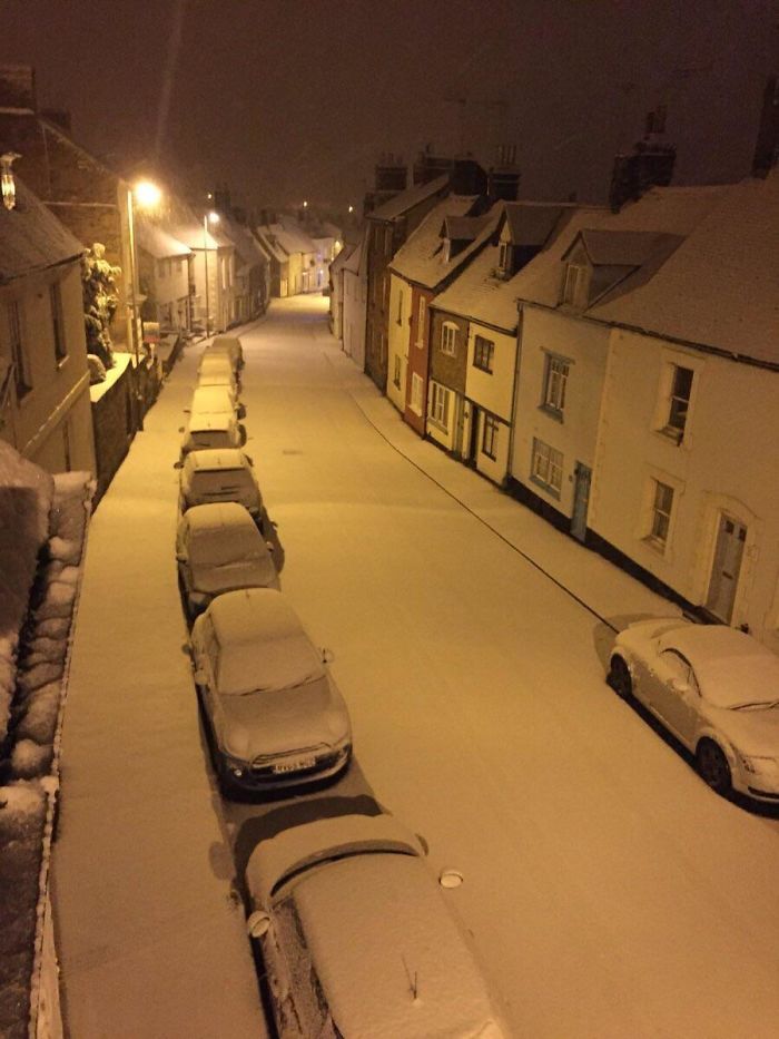 Untouched Snow Is Very Satisfying