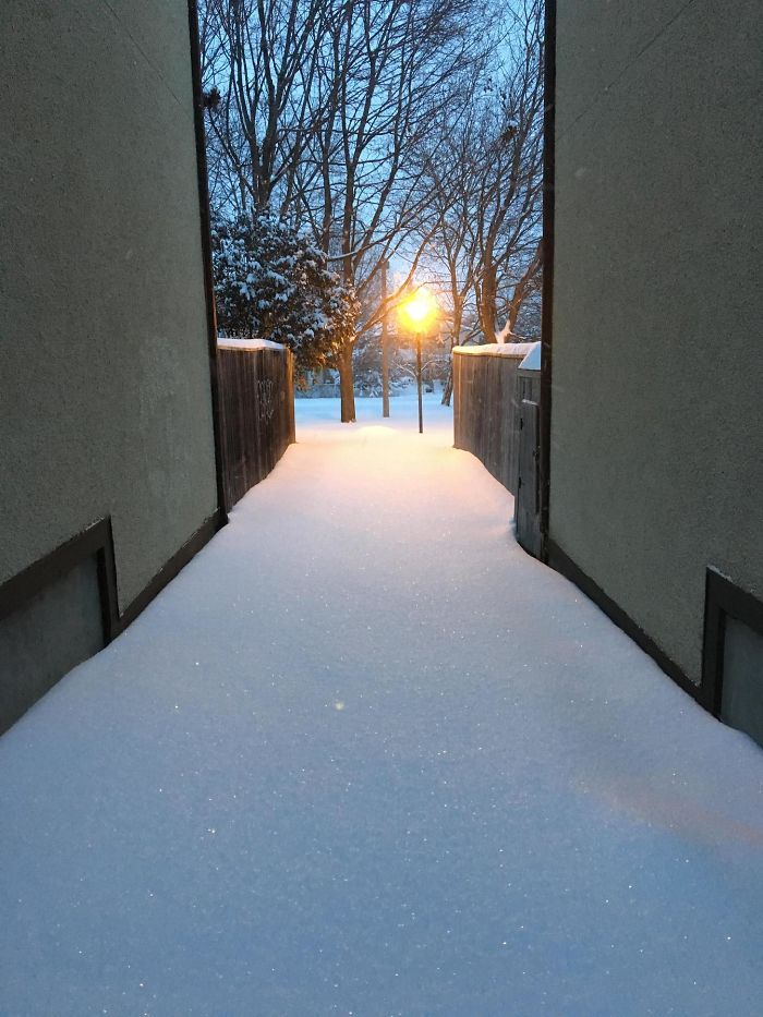 Found Some Freshly Fallen, Yet To Be Stepped On Snow This Morning