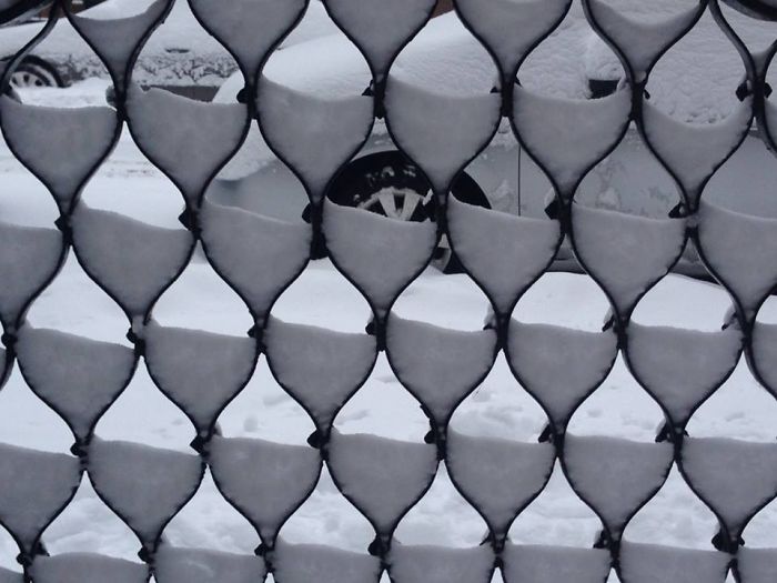 The Nor'easter Made My Fence Into Half Full Wine Glasses