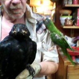 michaelkotting avatar