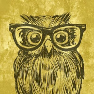 fruzsinasinka avatar