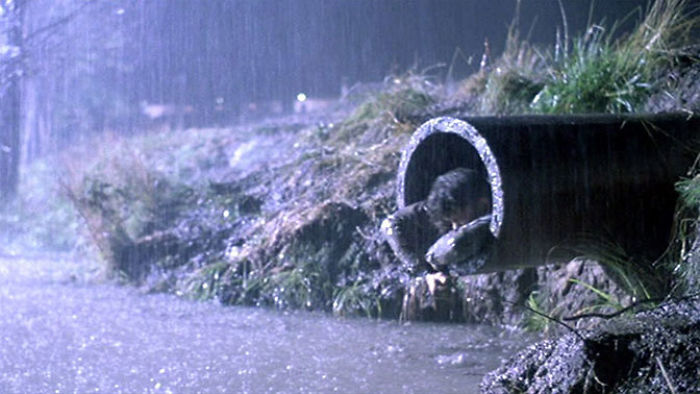 In The Shawshank Redemption, Red Calls Andy’s Dream Of Going To Zihuatanejo “A Shitty Pipe Dream”