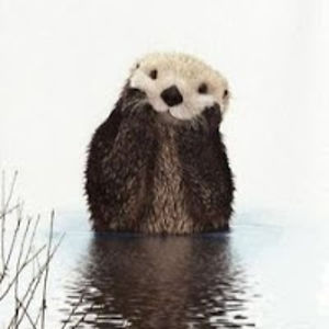 desdemonika30 avatar