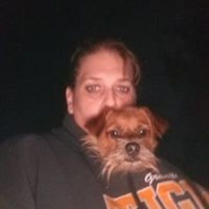 nikkiosborn_mtloopkennels avatar