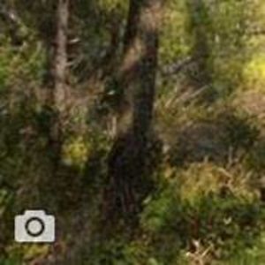 celina_delatouche avatar