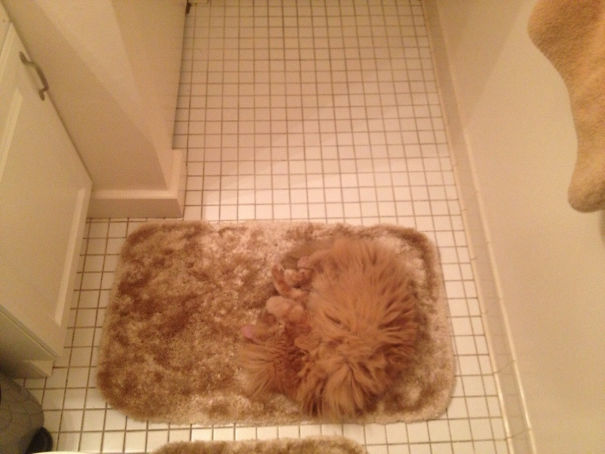 We Almost Had A Very Bad Day Today