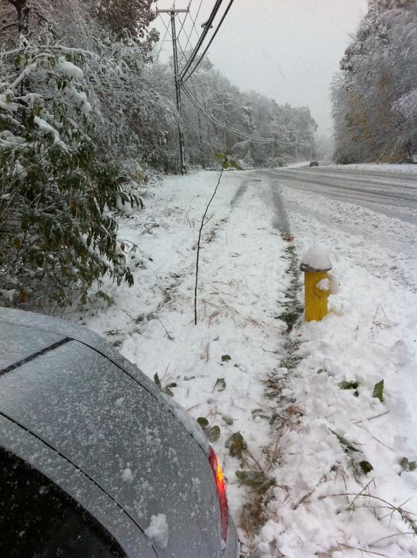 I Lost Control Of My Car Yesterday And Slid Off The Road. Close Call