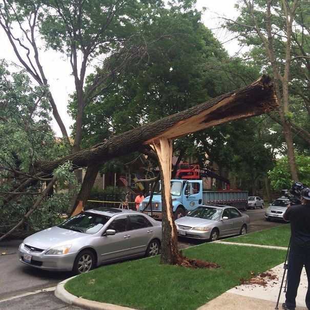 Storms Came Through Chicago. This Car Was Having A Lucky Day