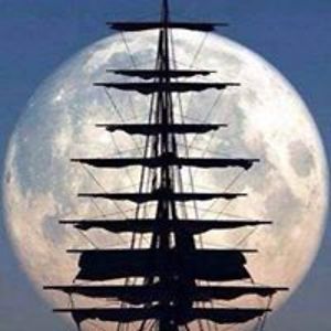 rosalee_adams avatar