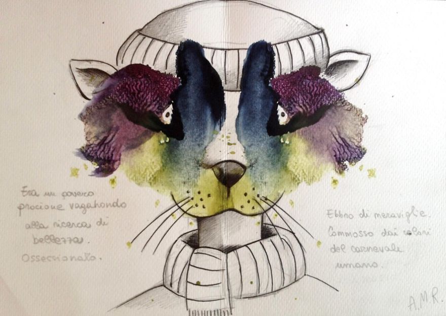 He Was A Poor Raccoon Looking For Beauty, Obsessed