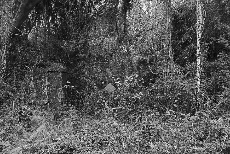 I Saw Silent War Between Mainland China And Taiwan I Saw Silent War Between Mainland China And Taiwan