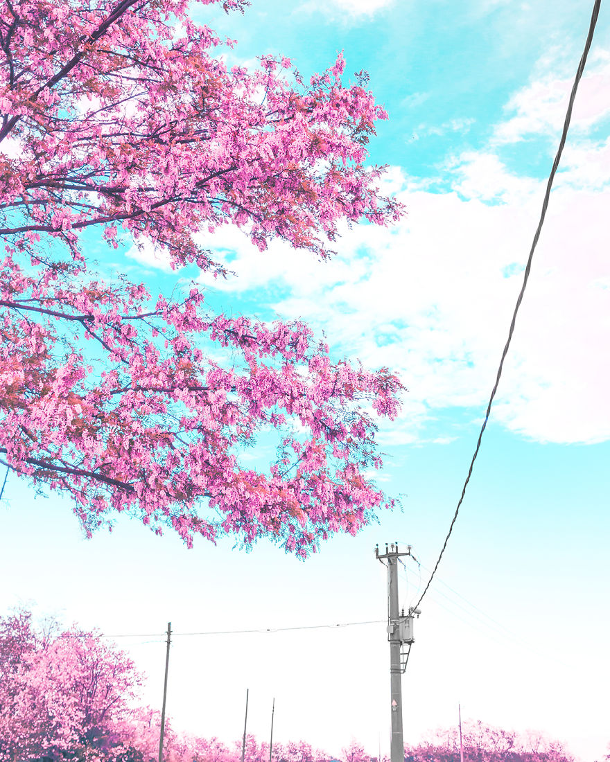 I Take Pictures Inspired By Japanese Anime