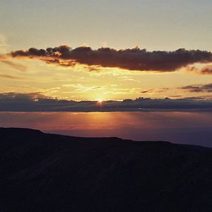 stephanie_megan avatar