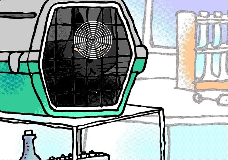 A Romanian Kitten Is Playing A Key Role In Brexit Negociations