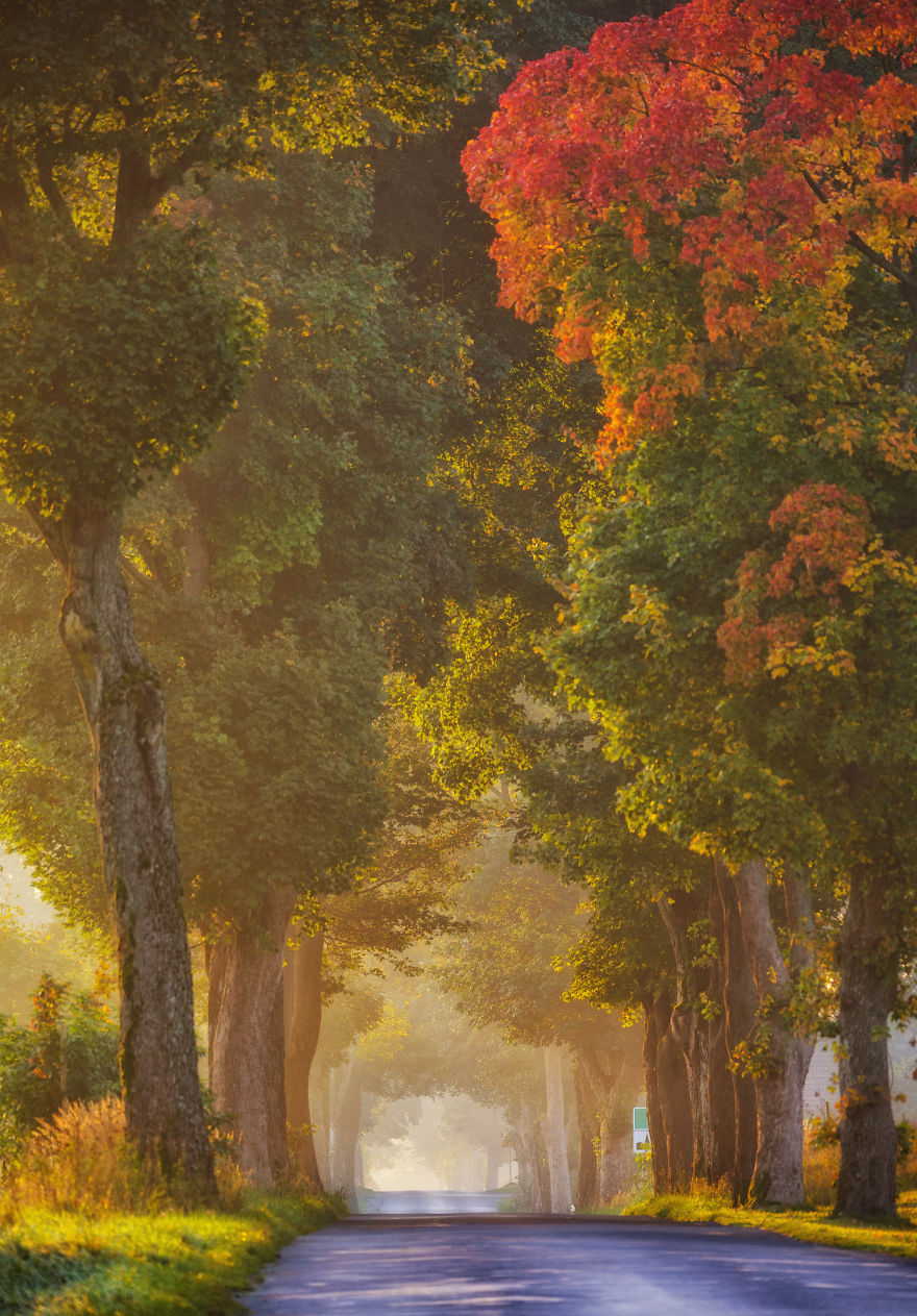 My Favourite Photos From A Small City Of Swidwin In Poland Which I Took In Last 2 Years My Favourite Photos From A Small City Of Swidwin In Poland Which I Took In Last 2 Years