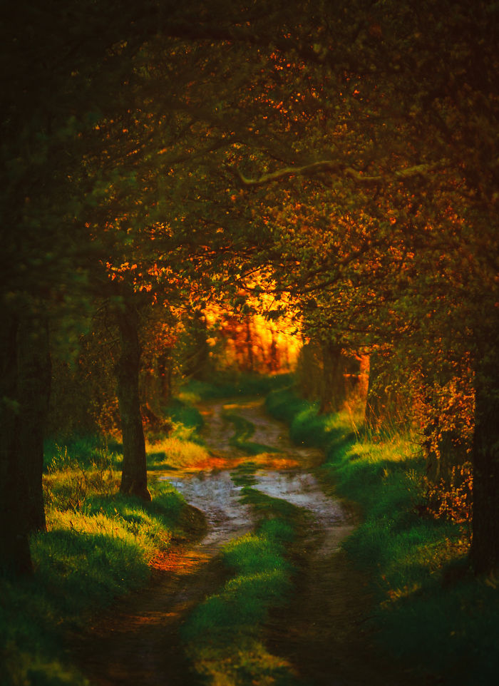 My Favourite Photos From A Small City Of Swidwin In Poland Which I Took In Last 2 Years