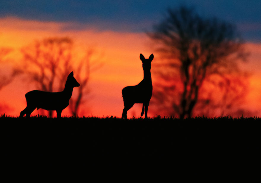 My Favourite Photos From A Small City Of Swidwin In Poland Which I Took In Last 2 Years