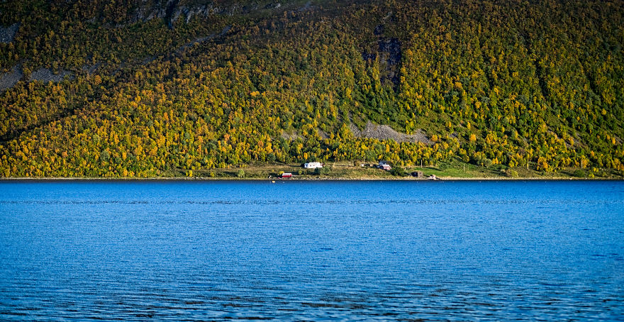Northen Lights And Fjords