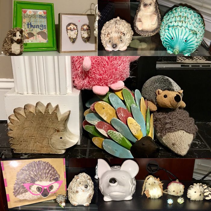 I Collect Hedgehogs...including Our Real One!