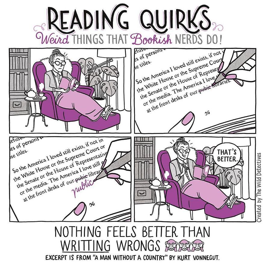 Reading-Quirks-Comics-The-Wild-Detectives