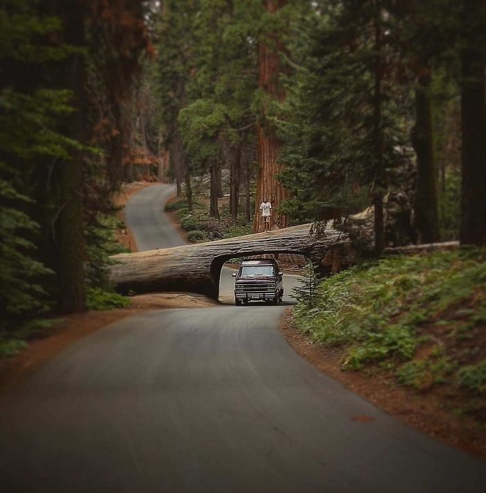 Living-In-Van-Life-Travel-Photography