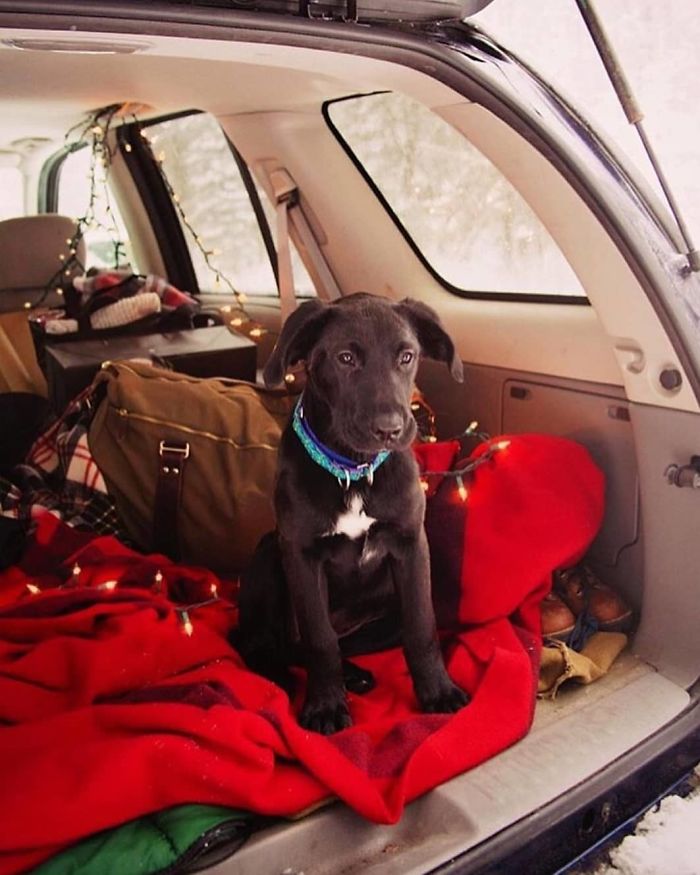 Living-In-Van-Life-Travel-Photography