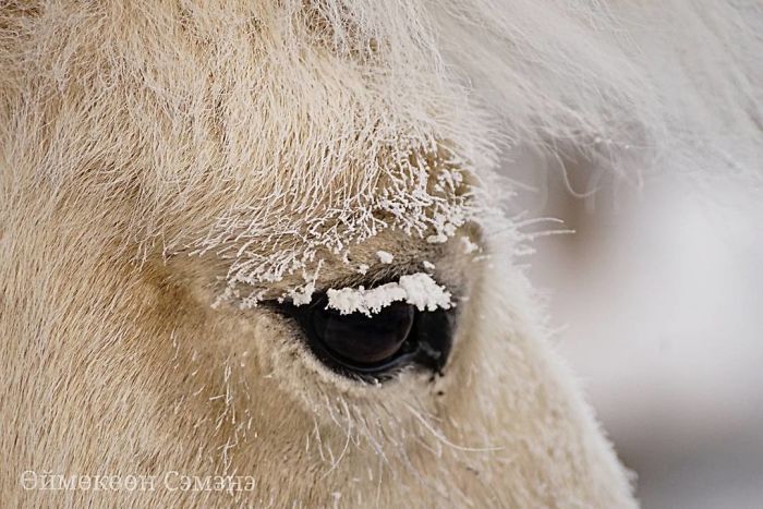 A Thermometer Just Broke At -62°C (-80°F) In The World's Coldest Village, And The Photos Are Breathtaking A Thermometer Just Broke At -62°C (-80°F) In The World's Coldest Village, And The Photos Are Breathtaking