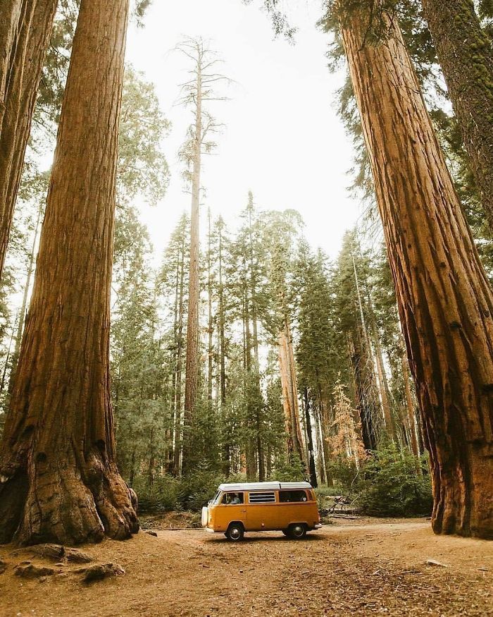 Living-In-Van-Life-Travel-Photography