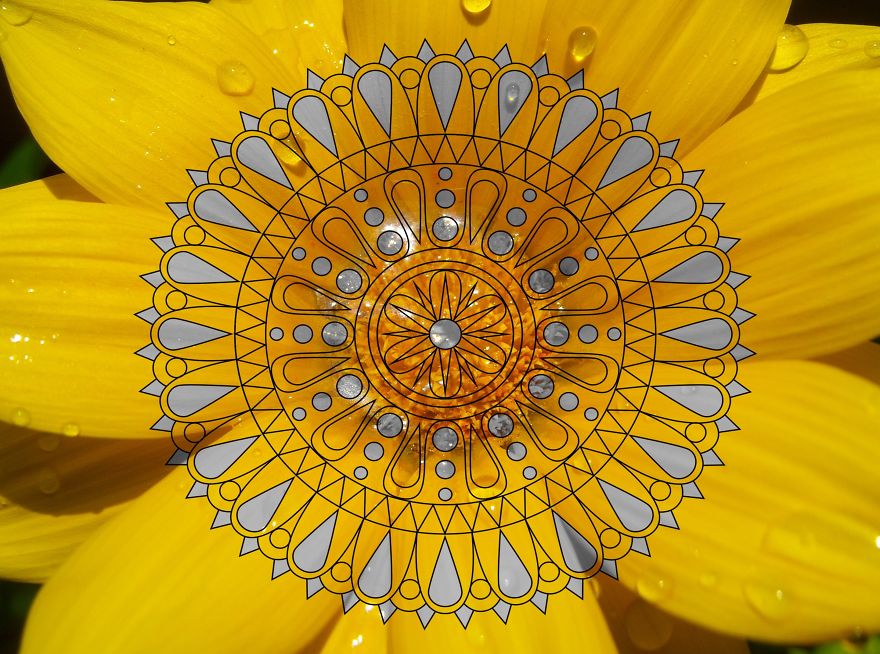 Geometry Vs. Nature: I Played With Forms And Shapes In My Pictures