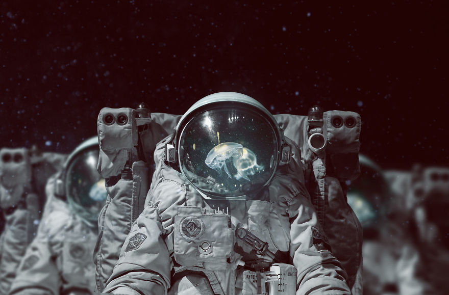 Believe In Whimsical Scintilla