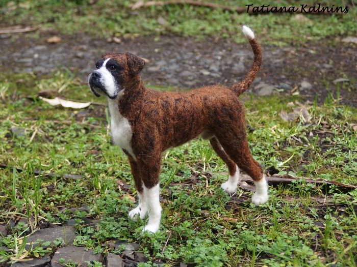 These Felted Animal Photos Will Make You Look Twice!