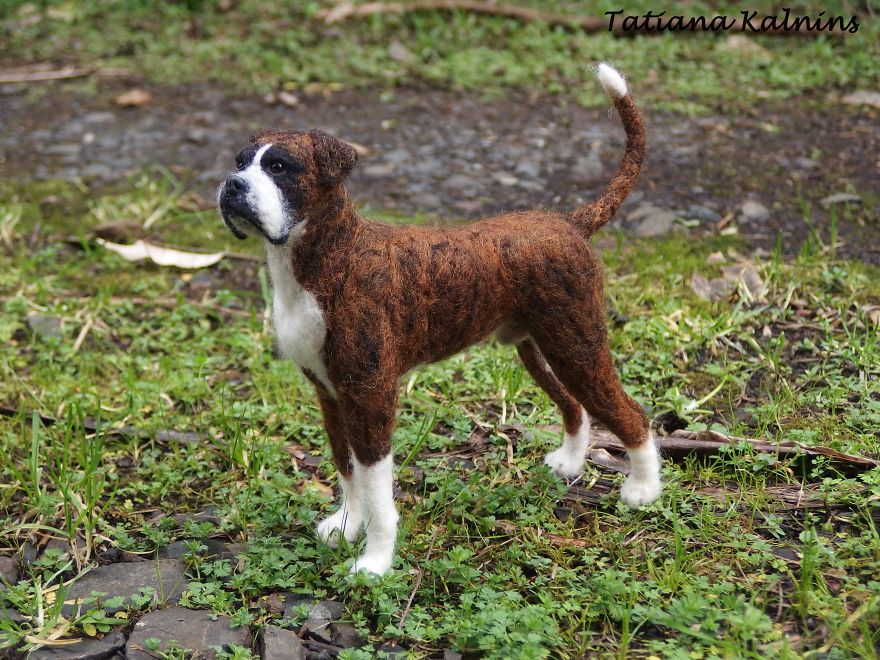 These Felted Animal Photos Will Make You Look Twice! These Felted Animal Photos Will Make You Look Twice!