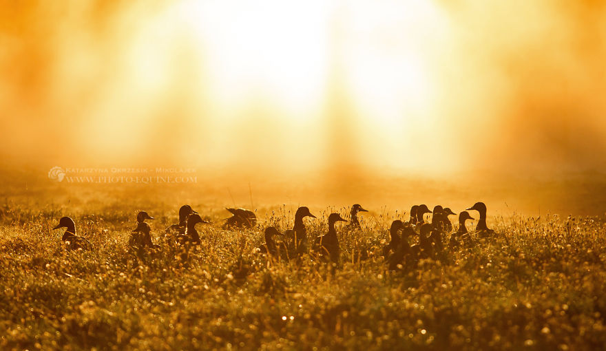 I Was Blessed To Be In The Right Place At The Right Time To Take These Pictures