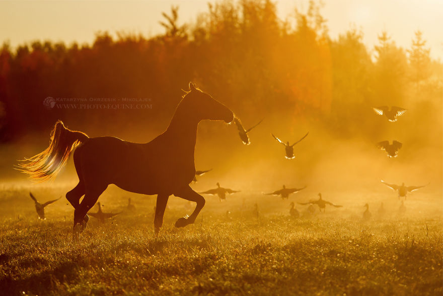 I Was Blessed To Be In The Right Place At The Right Time To Take These Pictures I Was Blessed To Be In The Right Place At The Right Time To Take These Pictures