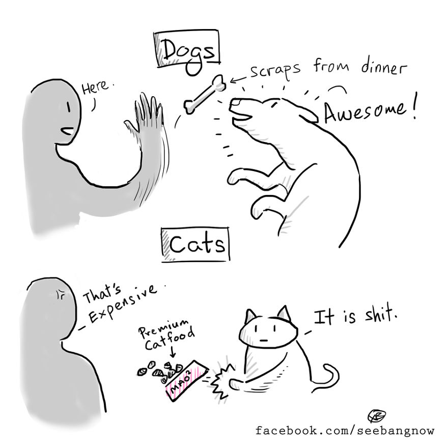 Cats Kidnapped Me And Made Me Draw Comics