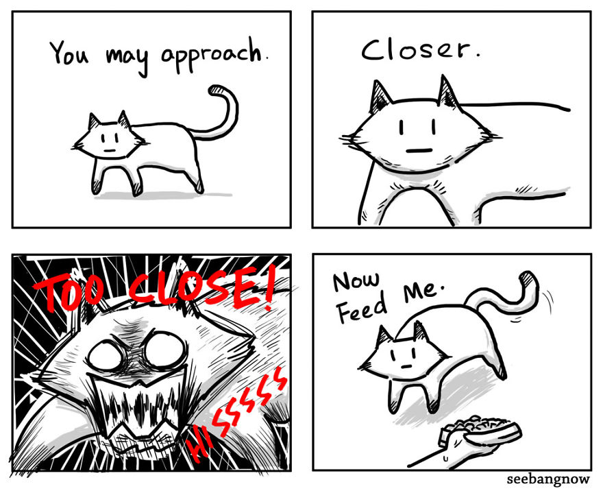 Cats Kidnapped Me And Made Me Draw Comics