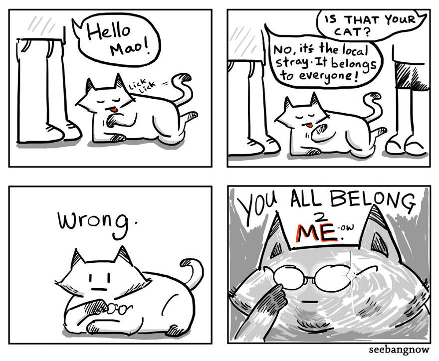 Cats Kidnapped Me And Made Me Draw Comics