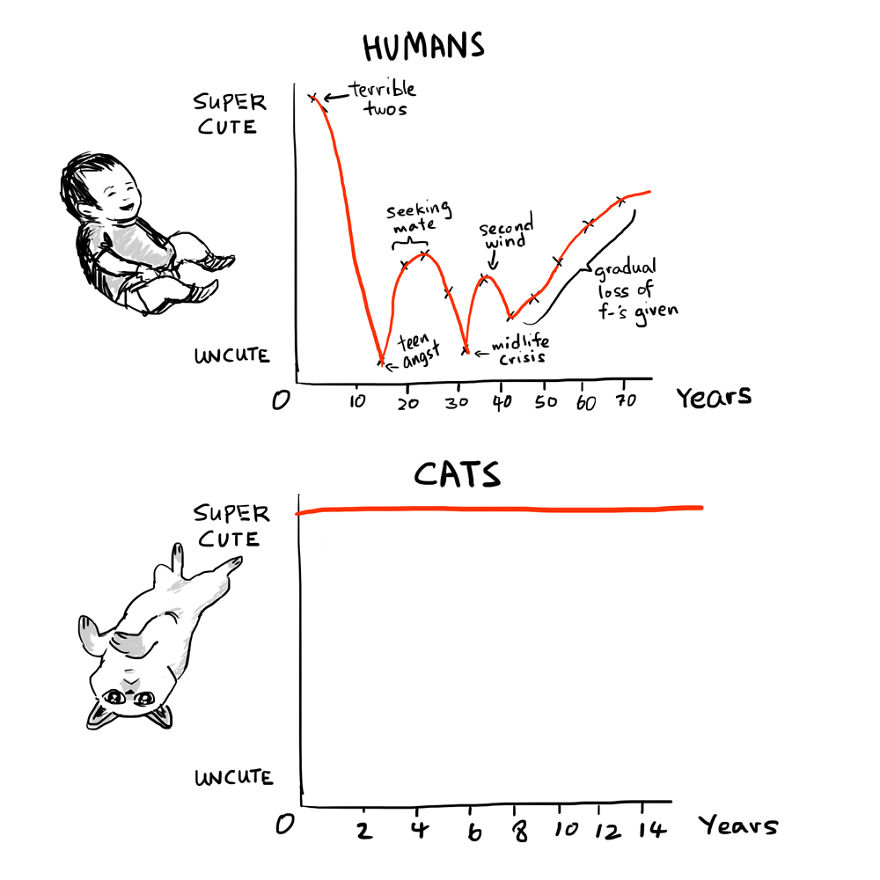 Cats Kidnapped Me And Made Me Draw Comics