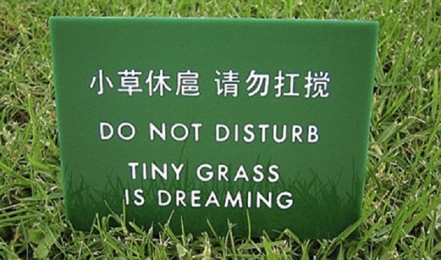 20+ Hilarious Mistranslations
