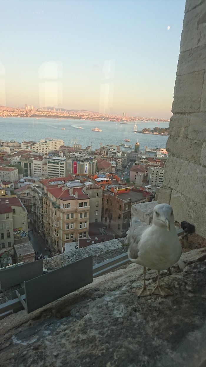 A Company In Galata Tower Restaurant