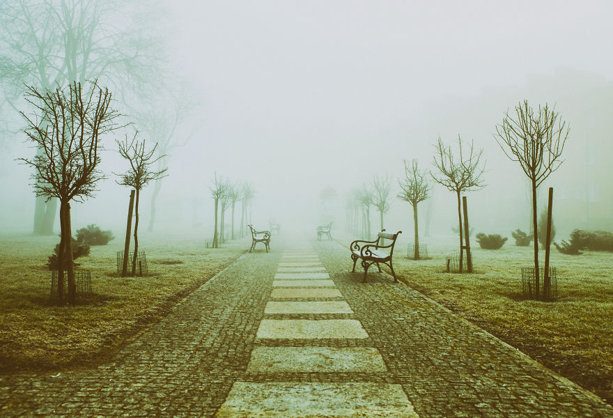 My Favourite Photos From A Small City Of Swidwin In Poland Which I Took In Last 2 Years My Favourite Photos From A Small City Of Swidwin In Poland Which I Took In Last 2 Years